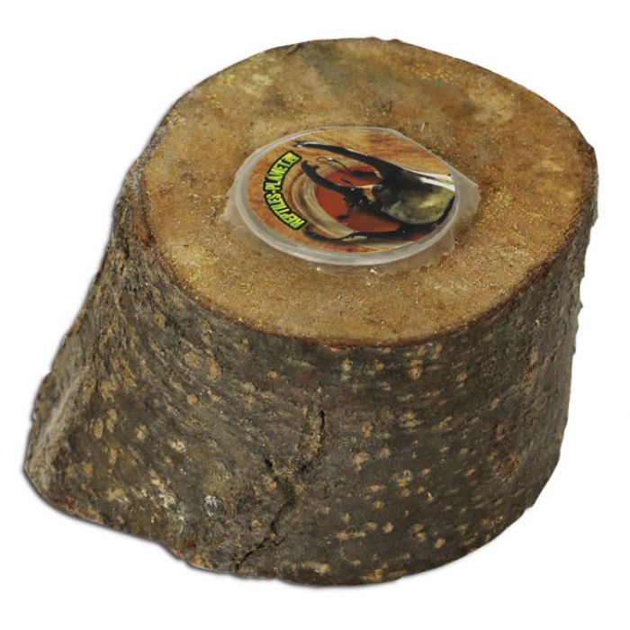 Reptiles-Planet Beetle Bar (Ständer für Jelly)