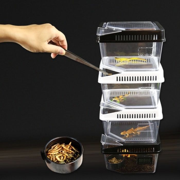 Quadratische Aufzuchtbox 18x18x11cm