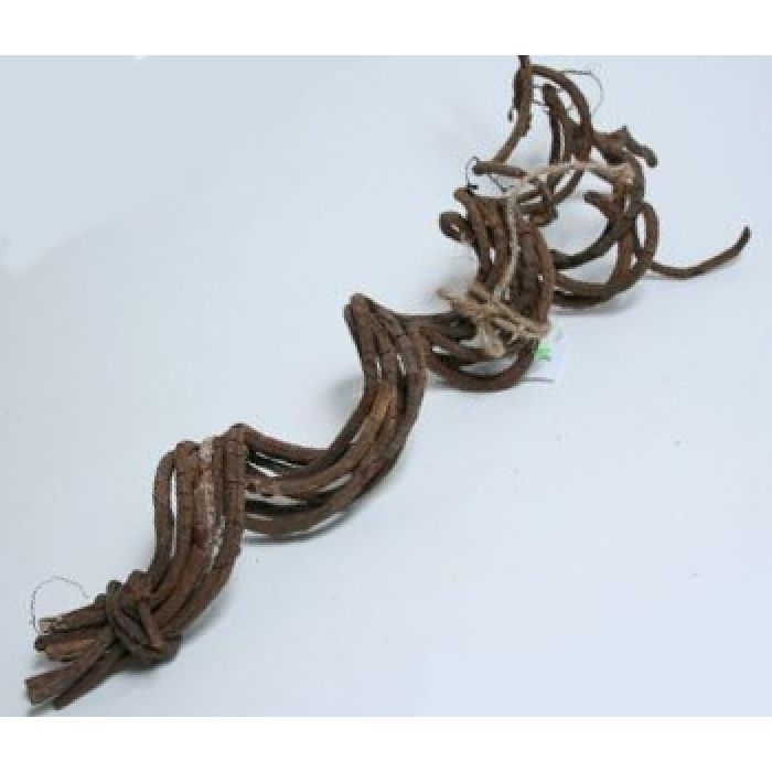 Dr.Raptor Spiral Liane - 8 Stück 50cm