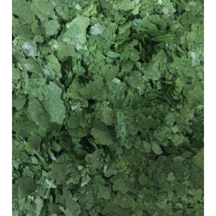 Dr.Raptor Frosch und Kröte Kaulquappenfutter 250ml - Futter für Kaulquappen