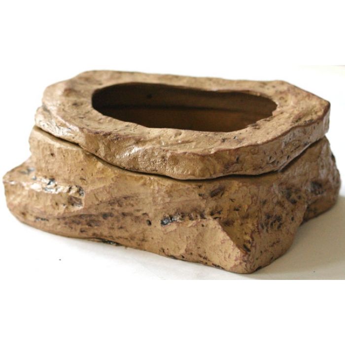 Reptiles-Planet - Wurm-Schale