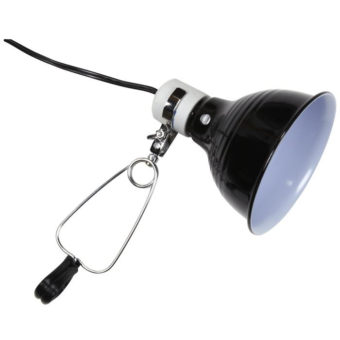 Reptilien-Planet Schwarze Klemme 14