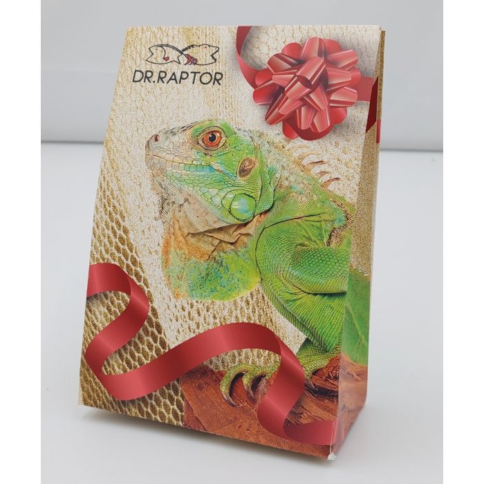 Geschenkpaket Wasserschildkröte