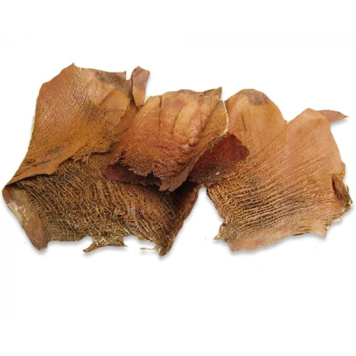 Natürliche Palmenrinde