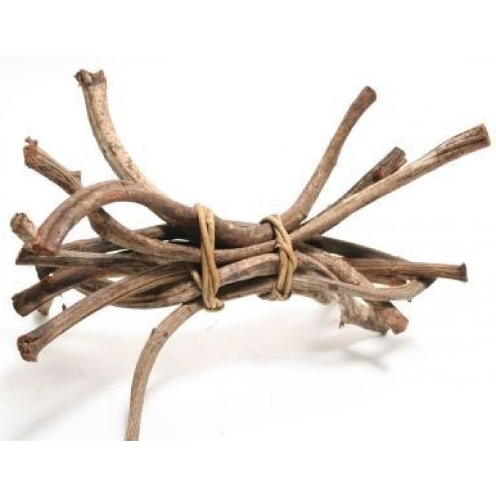 Dr.Raptor Crazy Liane 30cm