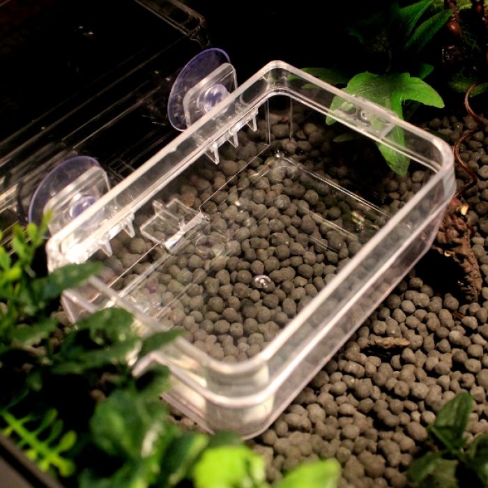 Wurmschüssel mit Saugnäpfen