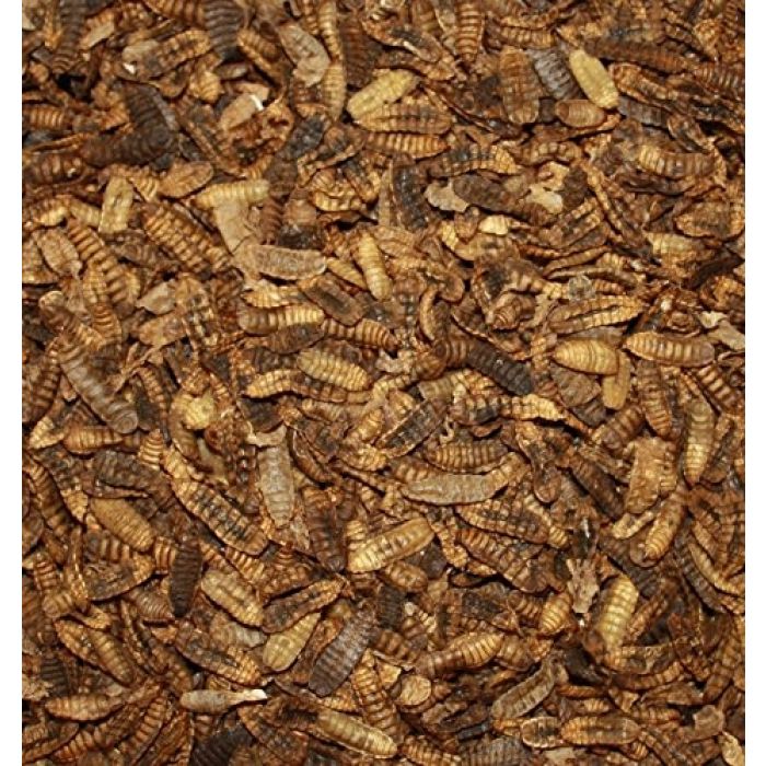 Getrocknete Hermetia Illucens 500ml