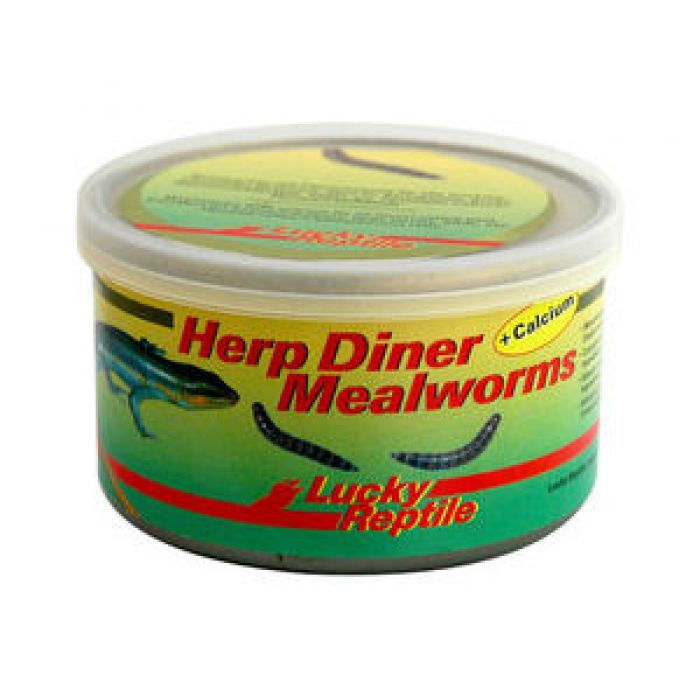 Lucky Reptile Herp Diner Mehlwürmer 35g