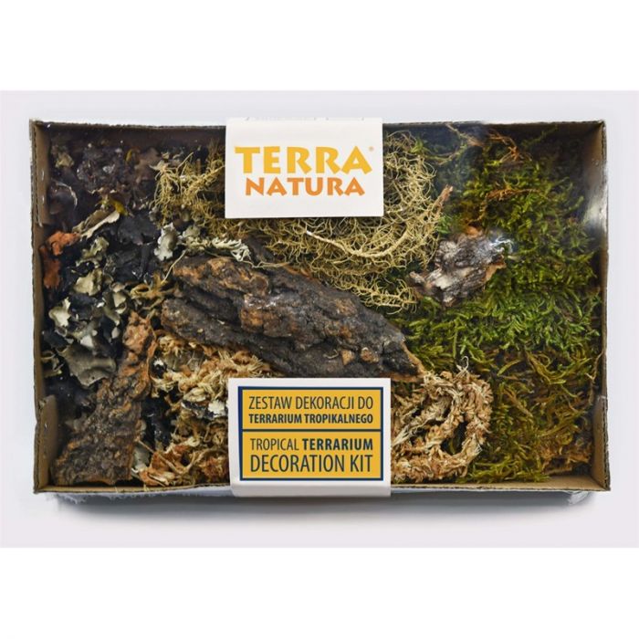 TerraNatura Tropisches Terrarium Dekorationsset