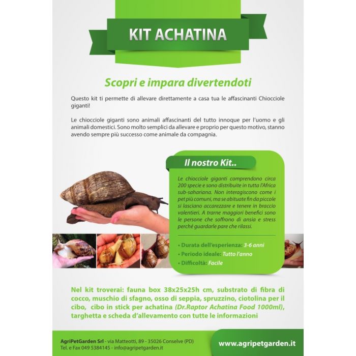 Achatina Kit - Riesenschneckenzuchtset
