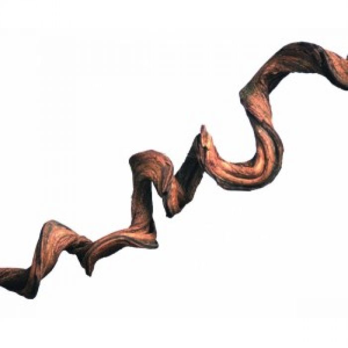 Dr.Raptor Lockenliane ca. 1 Meter