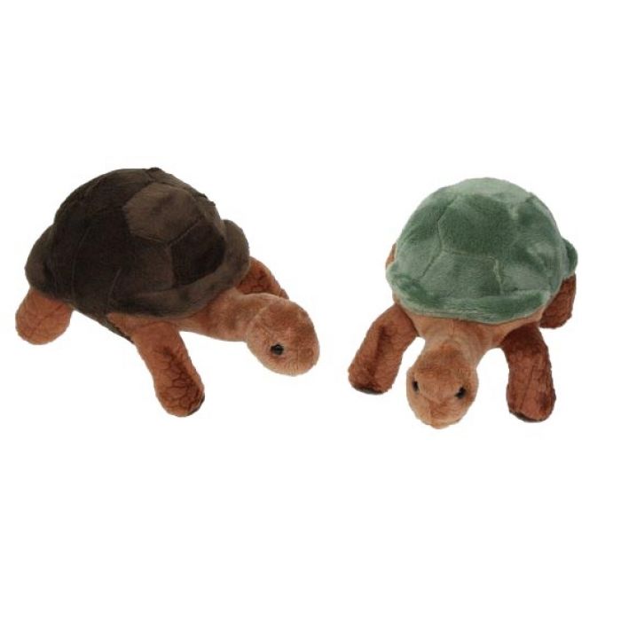 Plüsch Landschildkröte