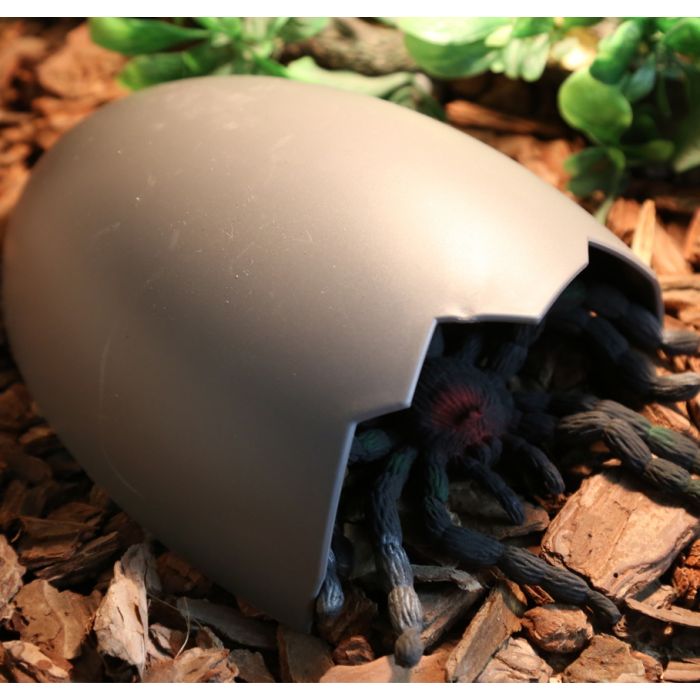 Eiförmige Höhle 20x16x8cm