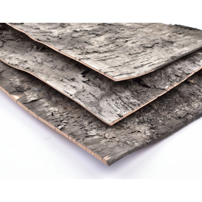 Hintergrund Birkenrinde 70x25cm