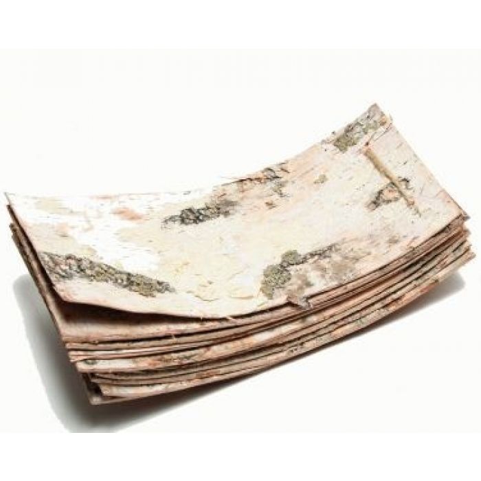 Hintergrund Birkenrinde 28x13cm