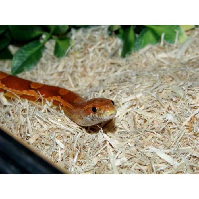 Dr.raptor Hanf 2kg - Hanfsubstrat