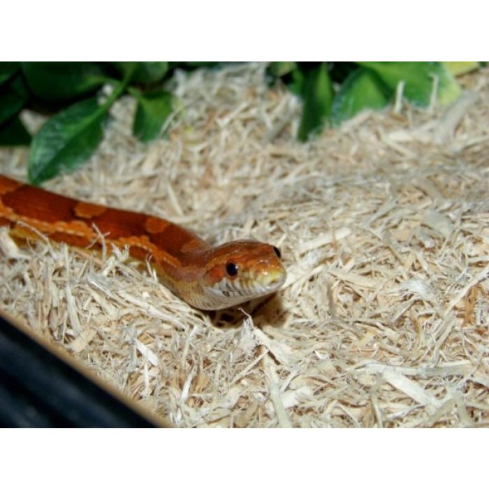 Dr.raptor Hanf 3.5kg - Hanfsubstrat