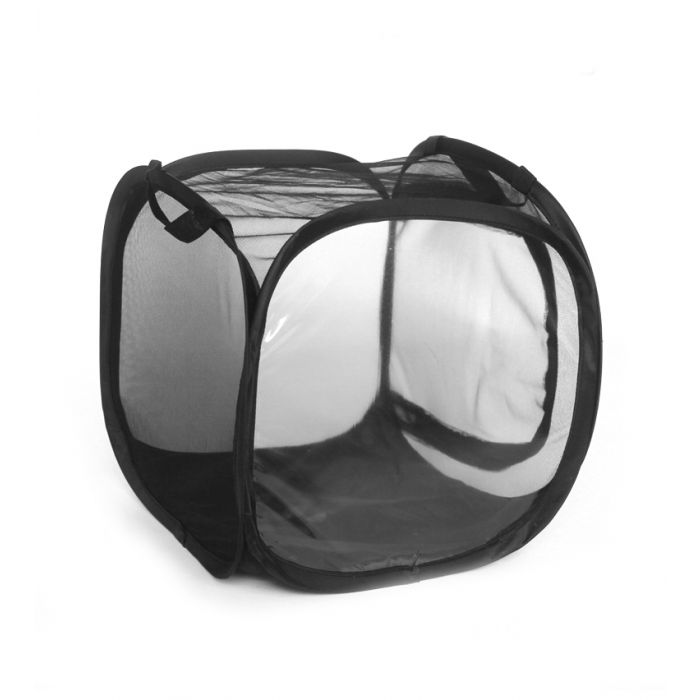 Dr.Raptor Terra Entdecker Small 30x30x30cm