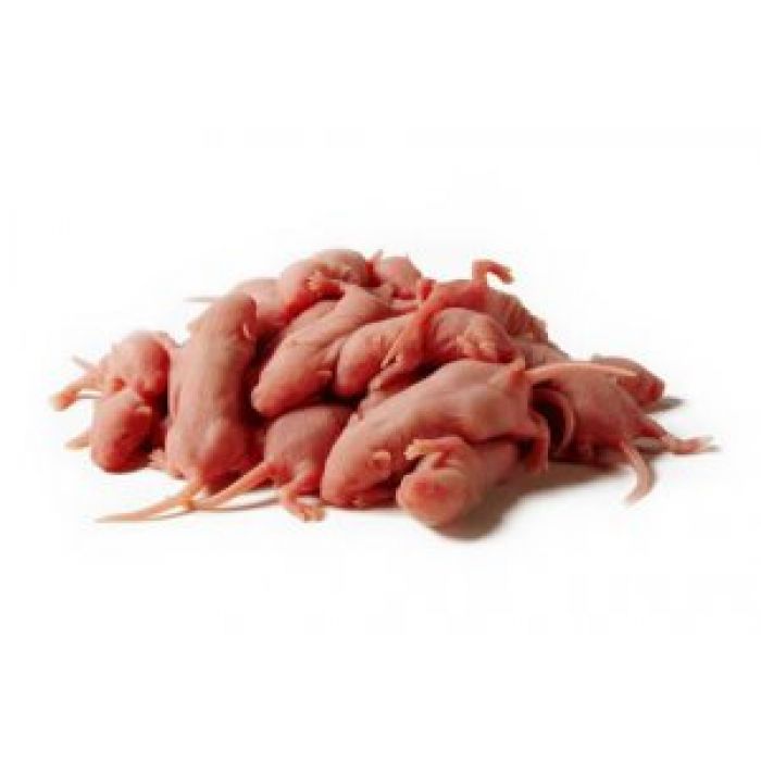 Topi Baby (Pinky) - 50 Stück