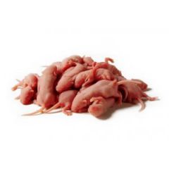 Topi Baby (Pinky) - 100 Stück