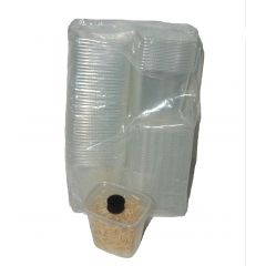 Drosophile Zucht-Set