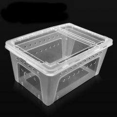 Dr.Raptor Aufzuchtbox - 26x18x12h cm