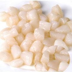 Geschälte Jakobsmuscheln - Umschlag 1Kg