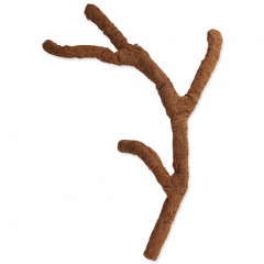 Repti Planet Kokosnuss Troncho 40cm