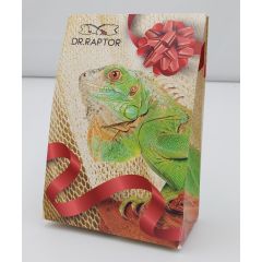 Geschenkpaket für Bartagamen