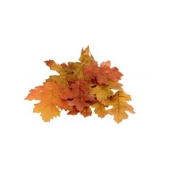 Getrocknete Eichenblätter