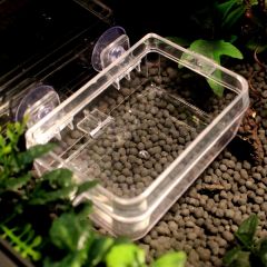 Wurmschüssel mit Saugnäpfen