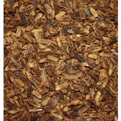 Getrocknete Hermetia Illucens 500ml