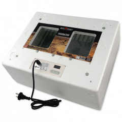 Repti Planet Inkubator - Inkubator für Reptilieneier