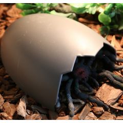 Eiförmige Höhle 20x16x8cm