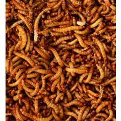 Mehlmotten Gefroren - 400gr.