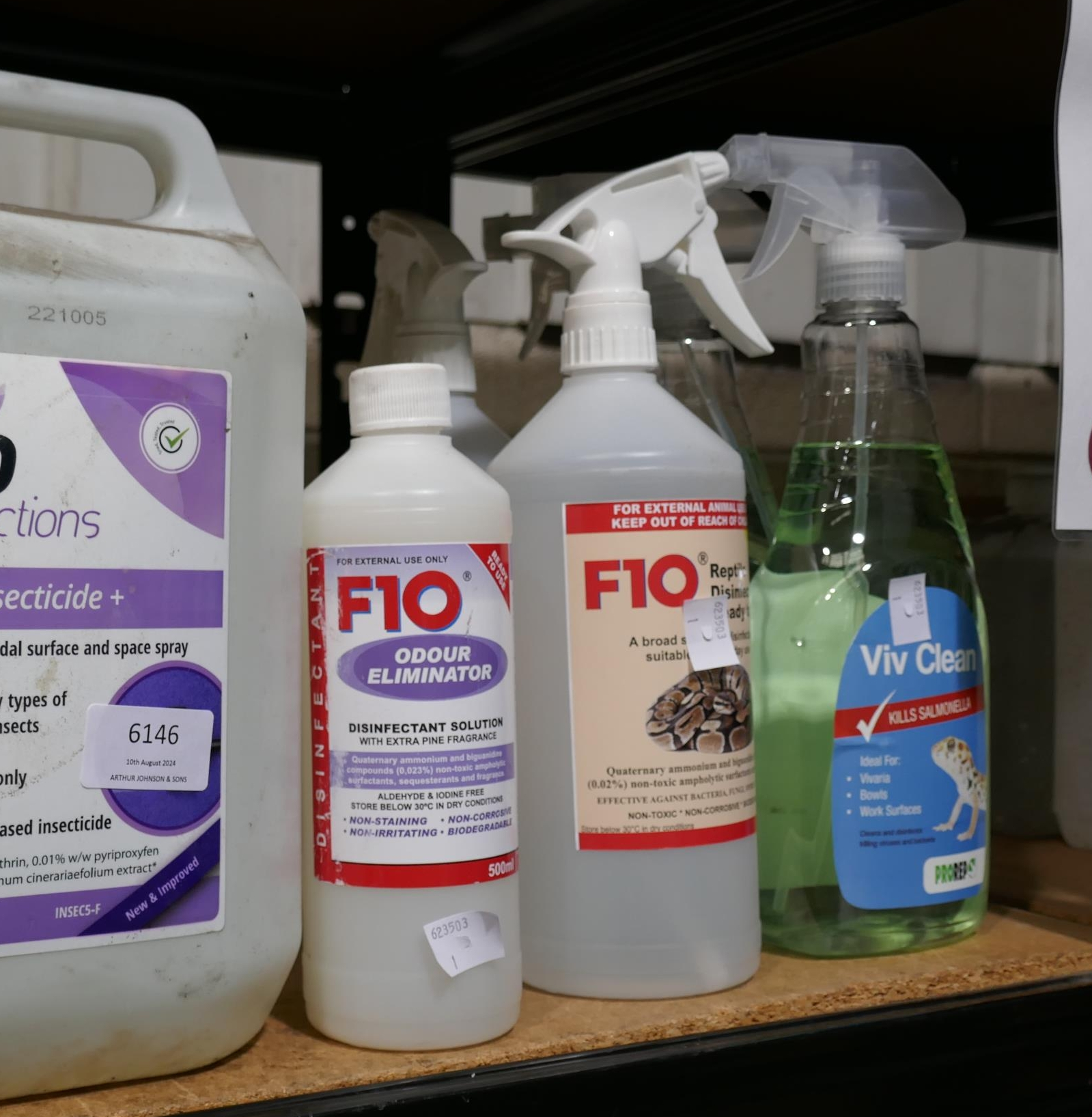 Disinfettanti per terrari: cosa usare (e cosa evitare) per rettili e anfibi