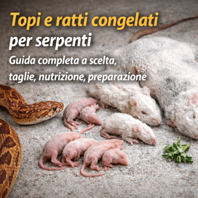 Topi e ratti congelati per serpenti: guida definitiva alla scelta